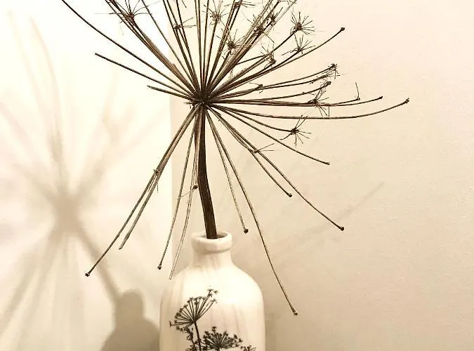 No. 42 Frühstückspension 3*