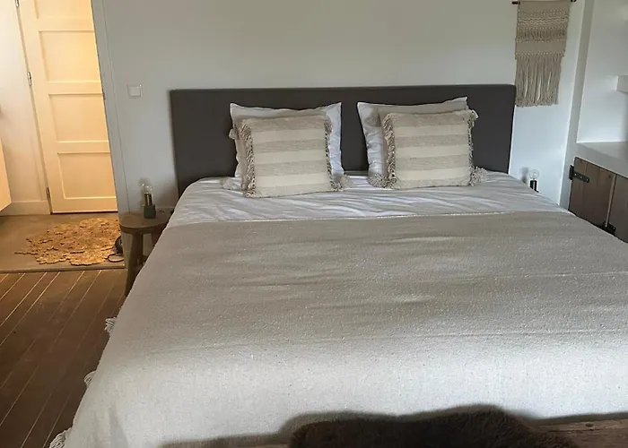 No. 42 فندق مبيت وإفطار 3*