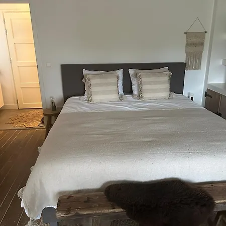 No. 42 Couette-café 3*